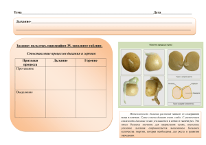 рабочий лист "дыхание растений"