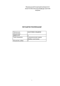 2-м-35.-Спинномозкові-нерви.-Шийне-сплетення