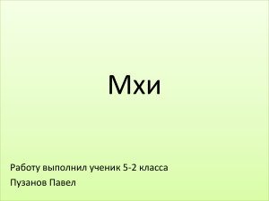 Мхи 