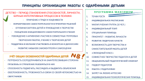 принципы организации работы с одарёнными детьми