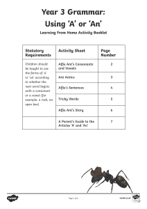 t2-e-2521-year-3-grammar-using-a-or-an-learning-from-home-activity-booklet- ver 2