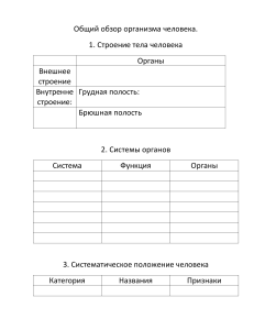 Био 8 Обзор организма человека