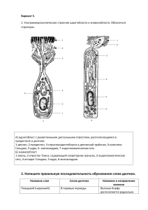 Занятие 2 вар3 гистология 