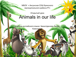 Animals in our life