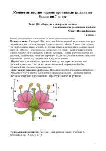 коз семейства цветок