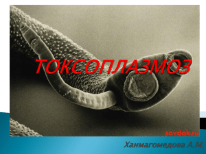 токсоплазмоз