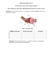 Практична робота  №1-2