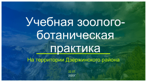 Учебная зоолого-ботаническая практика 2020г