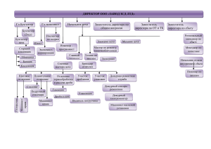 орг.структура ЗСД ЛТД 