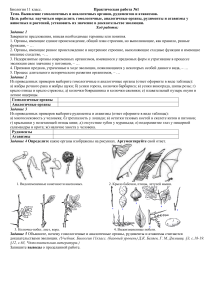 11класс ПР1выявление гомологичных органов, рудиментов