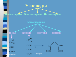 uglevody.pptx