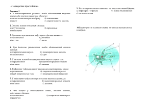 7 кл Тест Простейше