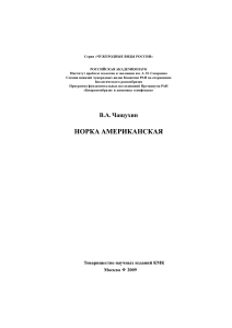 Чащухин В.А. 2009 Норка американская