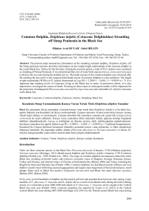 Common-dolphin-Delphinus-delphis-Cetacean-Dolphinidae-stranding-off-sinop-peninsula-in-the-black-seaKaradeniz-sinop-yarmadasnda-karaya-vuran-trtak-tr-Delphinus-delphis-yunuslar2018Yuzuncu-Yil-University-Journal-o