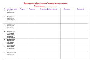 Практическая работа  Площадь