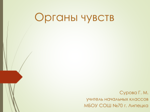 Органы чувств