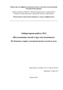 Пива, лаборатораня работа №11