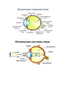 Документ Microsoft Word