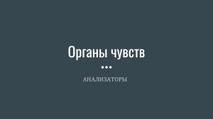 Органы чувств у животных