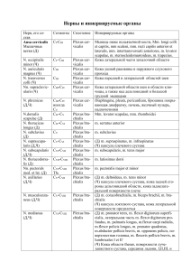 Нервы и иннервируемые органы - Таблица