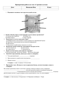 Проверочная работа по теме строение клетки