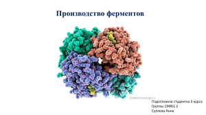 Производство ферментов