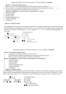 Генетика человека профиль