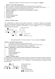 Генетика человека