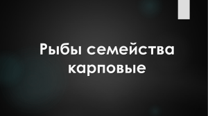 Семейство Карповые 