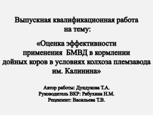 презентация Оценка эффективности БМВД