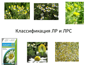 lec2 pharmacology poliksenova