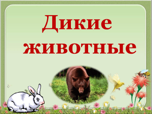 дикие животные