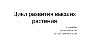 Циклы развития высших растений