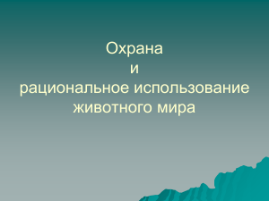 ohrana-i-ratsionalnoe-ispolzovanie-zhivotnogo-mira