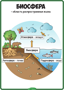 biosfera.-plakat