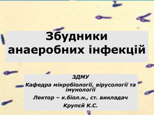 Збудники анаеробних інфекцій