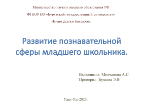 Развитие познавательной сферы младшего школьника