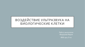 воздействие УЗ на биологические клетки