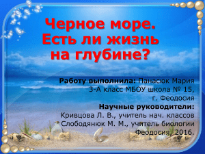 Черное море. Есть ли жизнь на глубине... 