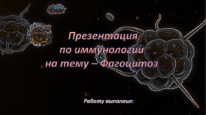 Иммунлогия. Фагоцитоз