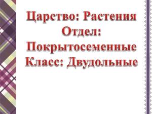 Семейство розоцветные , 7 класс