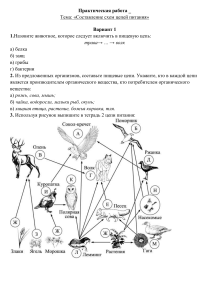 ЛР цепи питания 5 класс