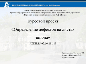 4 курс Презентация курсовая МХ-19-1 Плотников