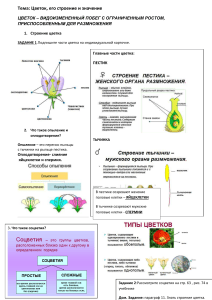 Рабочий лист . Строение цветка  6 ласс