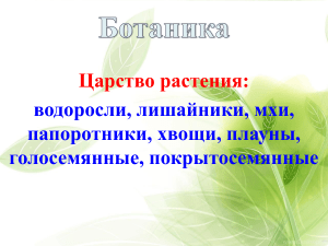 Водоросли, лишайники, мхи, папоротники, хвощи, плауны, голосемянные, покрытосемянные 