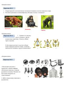 Антропогенез