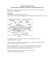 лабораторная работа рыбы