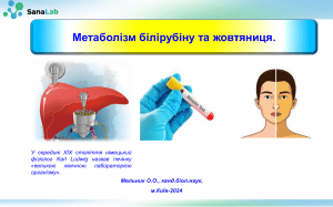 Мельник А.А. Презентация Метаболизм билирубина и желтуха