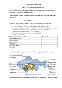 Лабораторная работа  Внутреннее строение рыбы 