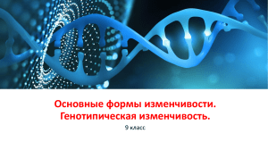 Презентация по биологии на тему  Основные формы изменчивости. Генотипическая изменчивость.  (9 класс)